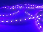 Cinta de Leds ultravioleta para interiores - 5m - Imagen 4