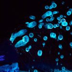 Líquido para burbujas de jabón reactivas a la luz UV - Imagen 2