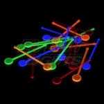 Removedores fluorescentes  para combinados- Pack de 25 u.