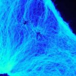 Telaraña fluorescente y reactiva a luz UV